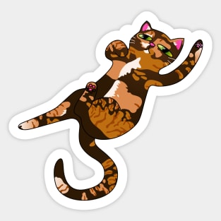 Playful Calico Cat Sticker